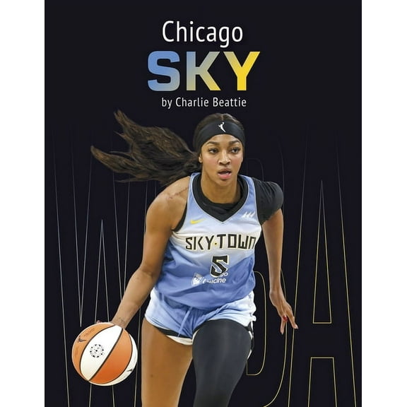 Chicago Sky, (Hardcover)