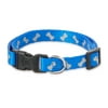 Vibrant Life Reflective Polyester Adjustable Dog Collar, Blue, Small
