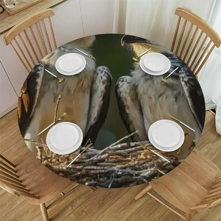 

Sheronv Birds Nest Baby Bird Round Table Cover Stain Resistant Washable Indoor Outdoor Tablecloth Kitchen Dining Wedding Parties 100% Polyester Waterproof Fitted 54 -58