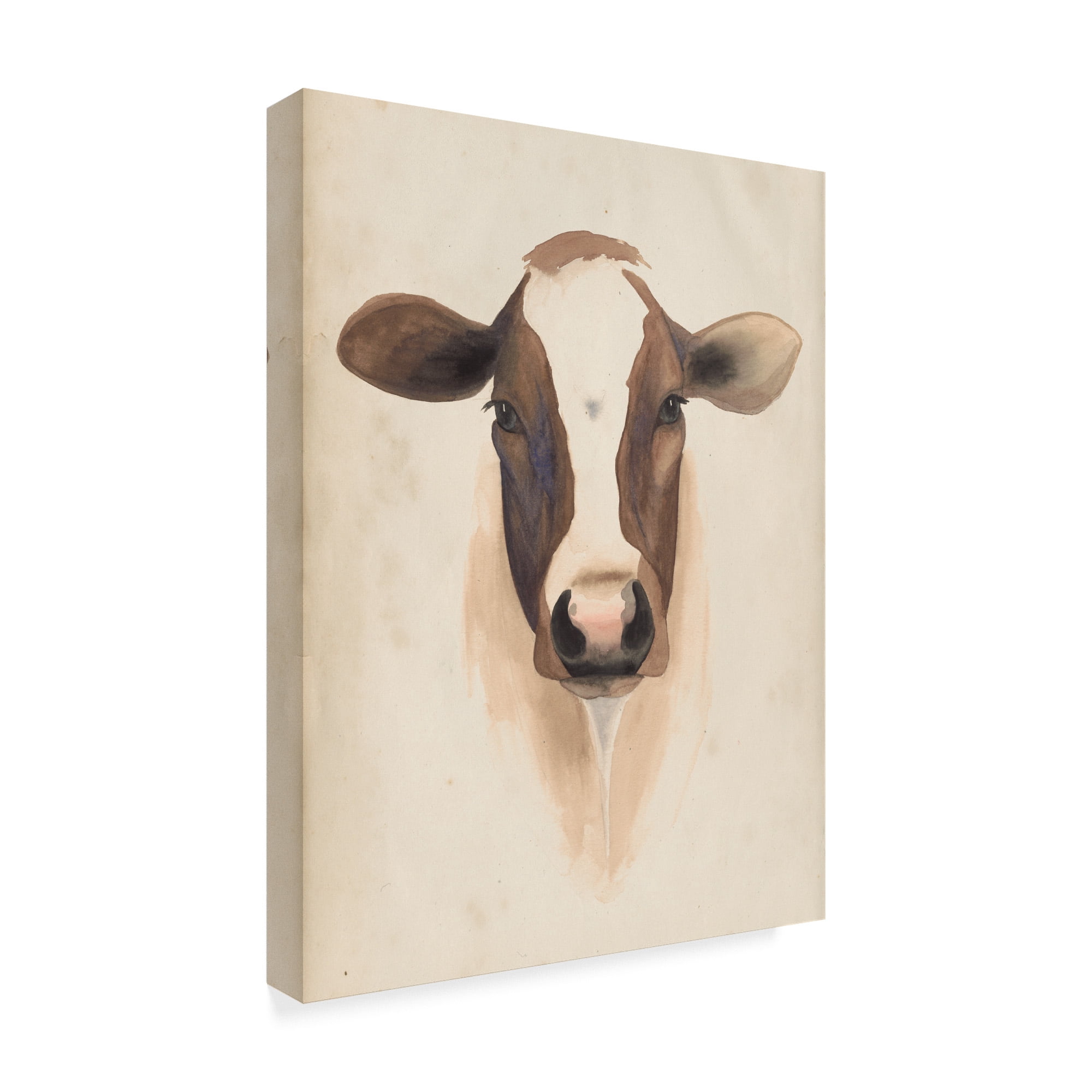 Trademark Fine Art 'Watercolor Animal Study VII' Canvas Art by Grace Popp