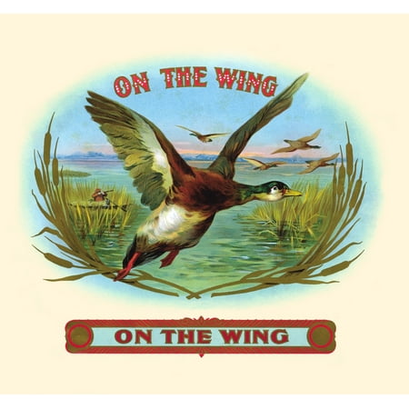 - Scene of a duck hunt as the birds try to escape In the early 20th century tobacco was in great demand Many companies issued products like cigars into the marketplace To differentiate their brand th