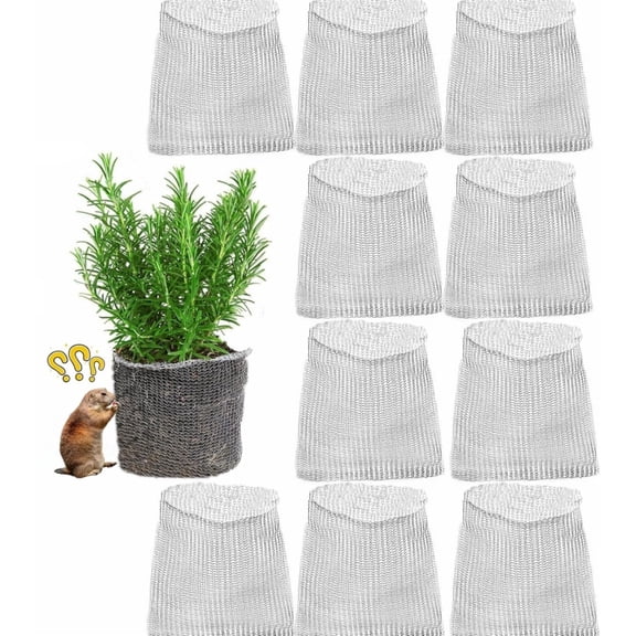 GIXUSIL 10 Packs Gopher and Vole Wire Speed Baskets, Garden Netting Covers, 1 Gallon Plant Root Protector, Anti Gopher Baskets (Silver)