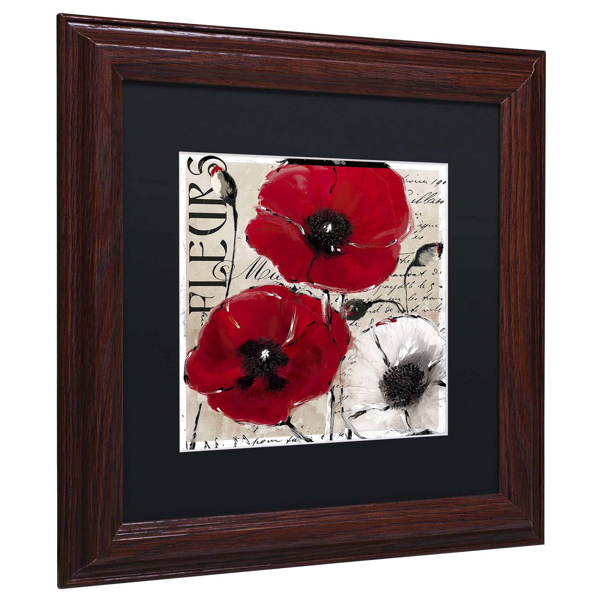 Trademark Fine Art "Rouge One" Canvas Art by Color Bakery Black Matte, Wood Frame