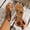 Brown, variant on Women Flat Sandals Wide-Fit Boho Braided Sandals Comfort Walking Beach Ankle Elastic Summer Shoes Green 5.5(36)