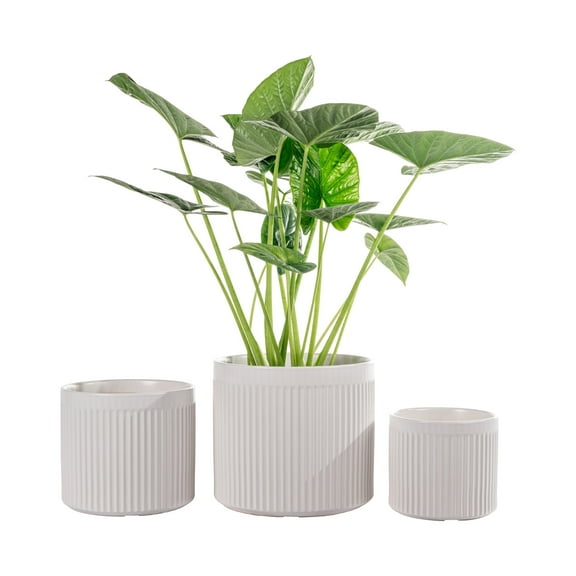 UMIAMOY Modern Cylinder Set of 3 Ceramic Flower Pots,5.7 7.0 8.6 inch Plant Pots with Drainage Holes and Saucer,Indoor Outdoor Planters for Home Patio Garden Decoration