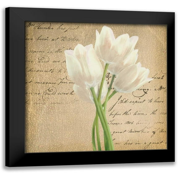 Greene, Taylor 12x12 Black Modern Framed Museum Art Print Titled - WHITE TULIP II ON GOLD B