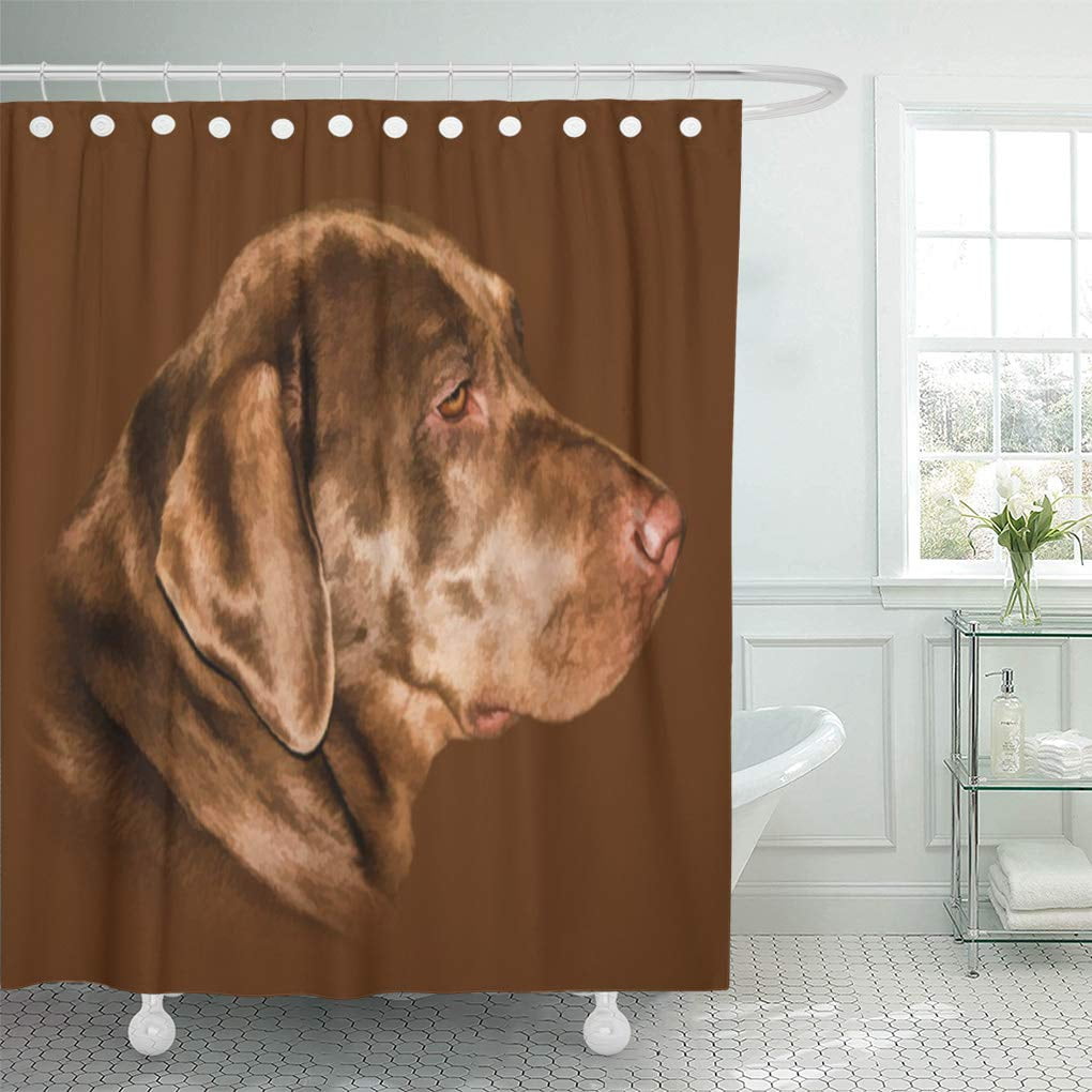 SUTTOM Brown Pets Labrador Retriever Dog Labs Sporting Chocolate Shower