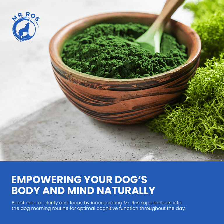 Mr. Ros Marine Phytoplankton Dog Supplement Coat Joints Omega 3s 120 Servings