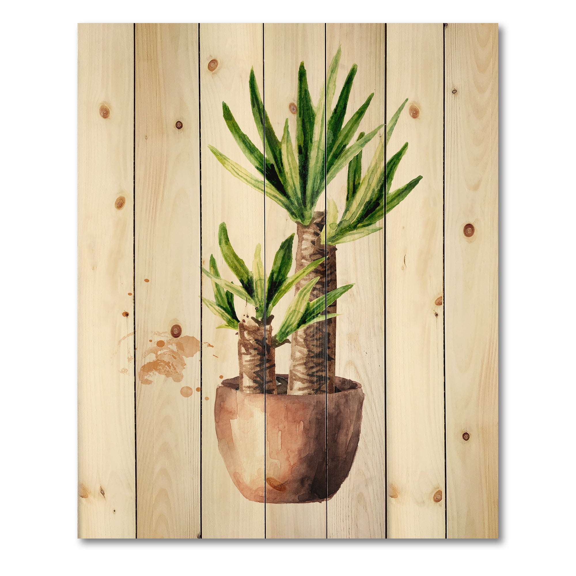 Designart 'Yucca Tree In The Ceramic Flower Pot On White' Traditional Print on Natural Pine Wood