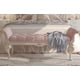 thumbnail image 1 of Girl Wood Luxury Bed Nordic Queen Cute Modern Twin King Bed Bedroom Princess Leather Camas De Matrimonio Dormitorio Furniture My Lux Decor Round, 1 of 8