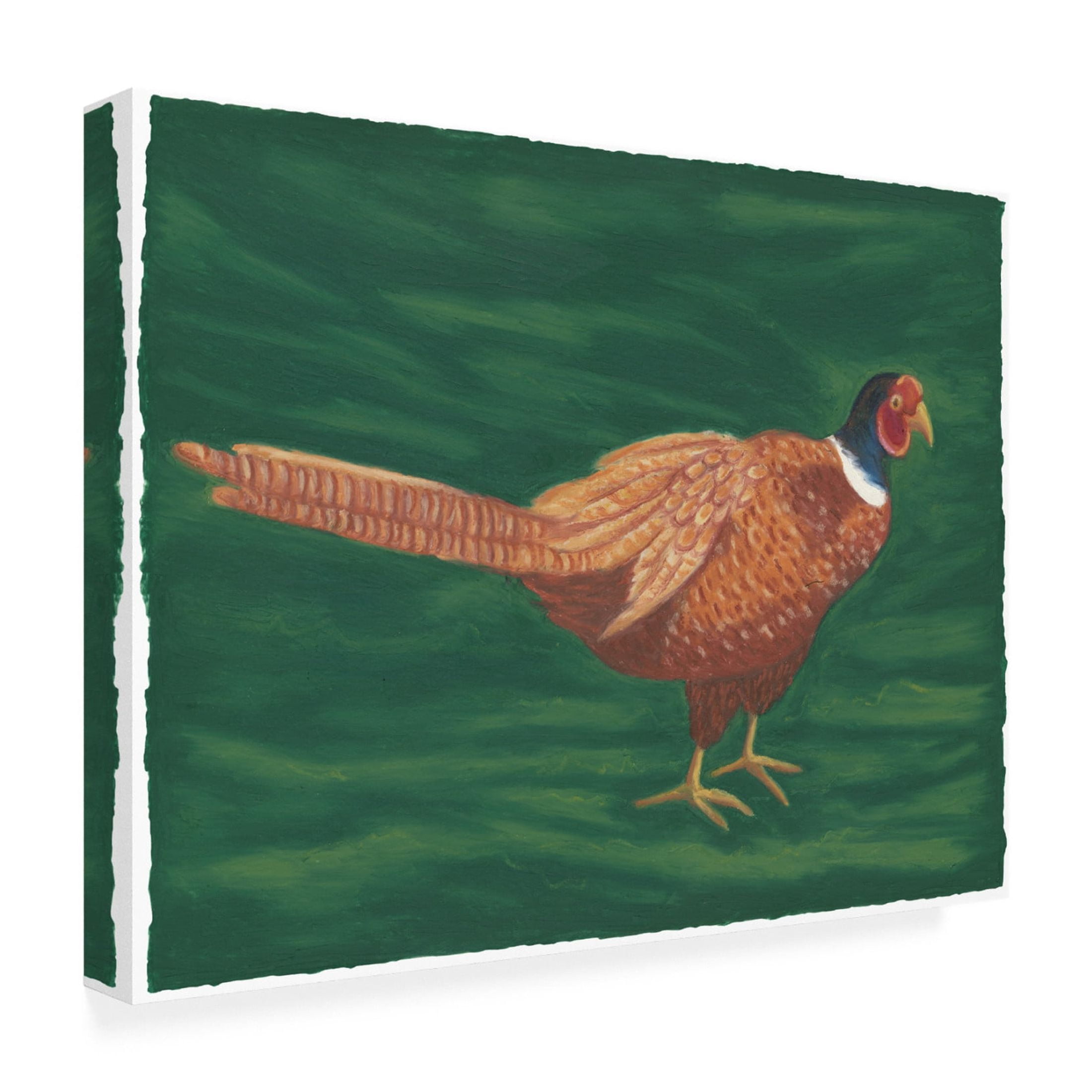 Canvas Wall Art - Andrea Strongwater 'Game Birds Pheasant' Wall Art for Living Room, Bedroom, or Office Décor by Trademark Fine Art - 19 x 14 Inches