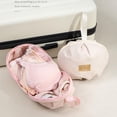 thumbnail image 2 of Lingerie Storage Bag Set, Portable Luggage Storage Cube with Multiple Compartments, Packing Organizer for Bras, Clothes, Accessories, Suitcase Carry-On, 2 of 9
