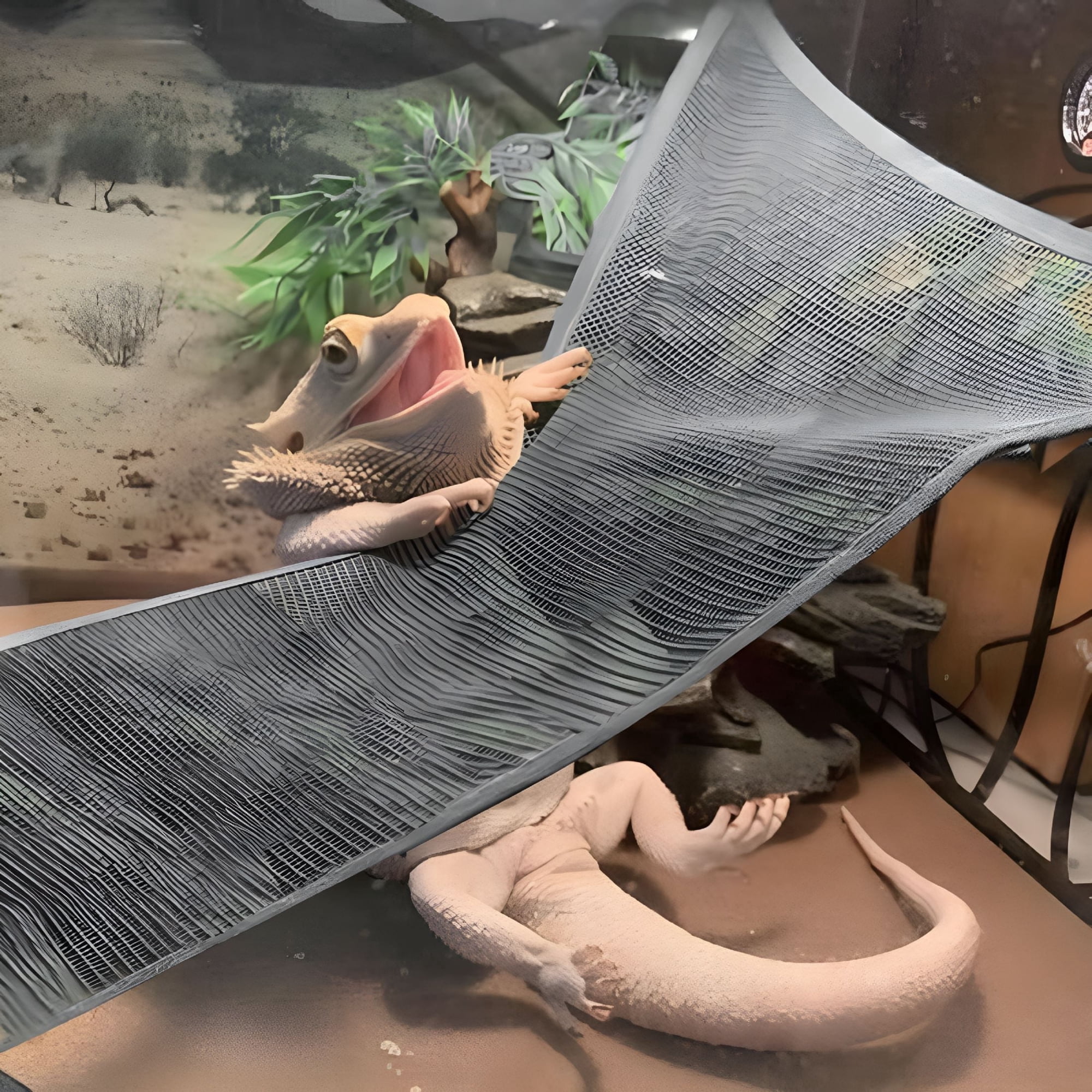 ACDANC Reptile Hammock Snake with Suction Cup Toy Chameleon Accessories Bearded Dragon Black