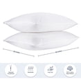 thumbnail image 2 of Craftsworth 100% Cotton Pillow Protector, 20x36 Stripe - King (PK 8), 2 of 5