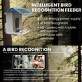 thumbnail image 6 of Afoxsos  Smart Bird Feeder Bird House with 1080P HD Camera, Solar Roof, Built-in Microphone (Include 32G SD Card), 6 of 8