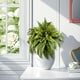 thumbnail image 5 of Ramo de Hojas de Helecho Persa Artificial de 47 Cm | Plantas Verdes Simuladas de Seda, Plástico y Hierro | Decoración para Interior y Exterior, Hogar, Oficina, Jardín, Aspecto Natural y Duradero, 5 of 6