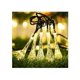 thumbnail image 1 of Guirnalda solar Fairy Drops, 30 LED, 7 m, color blanco cálido, 1 of 5