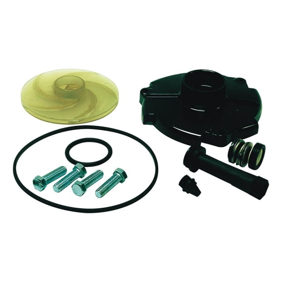 Repair KIT ACE 10S by Parts 2 O MfrPartNo FPPKS100-P2