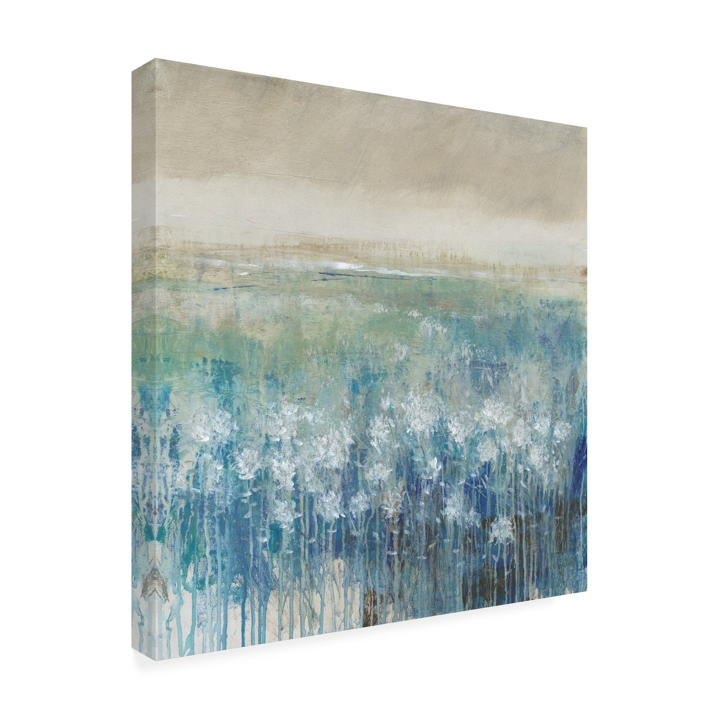 Tim OToole 'Before The Rain I' Canvas Art