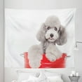 thumbnail image 1 of Poodle Tapestry, Pet Animal in a Bucket Posing Puppy Eyes, Fabric Wall Hanging Decor for Bedroom Living Room Dorm, 5 Sizes, Pale Taupe White, by Ambesonne, 1 of 1