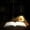 #008-A-With Base, variant on Library Lantern-Decorative Bookshelf Lighting, Pumpkin with Bat Wings Vintage Fantasy Book Nook Lamp, Magic Reading Light for Bookworms, Portable Shelf Decor, Gift for Literary Lovers