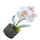thumbnail image 4 of Orquídea artificial Flor y maceta Simulación Flor en maceta Mesa de oficina en casa Decoración floral falsa, JH1734, Blanco Methold HA7712-02B, 4 of 6
