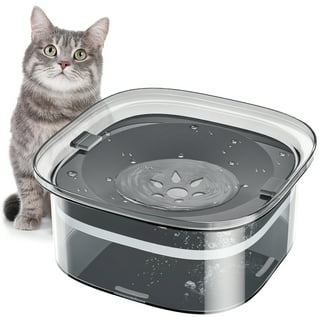 The 14 Best Automatic Pet Feeders and Water Fountains