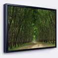 thumbnail image 1 of Designart - Pathway in Thick Green Forest - Landscape Photography Framed Canvas Print, 1 of 4