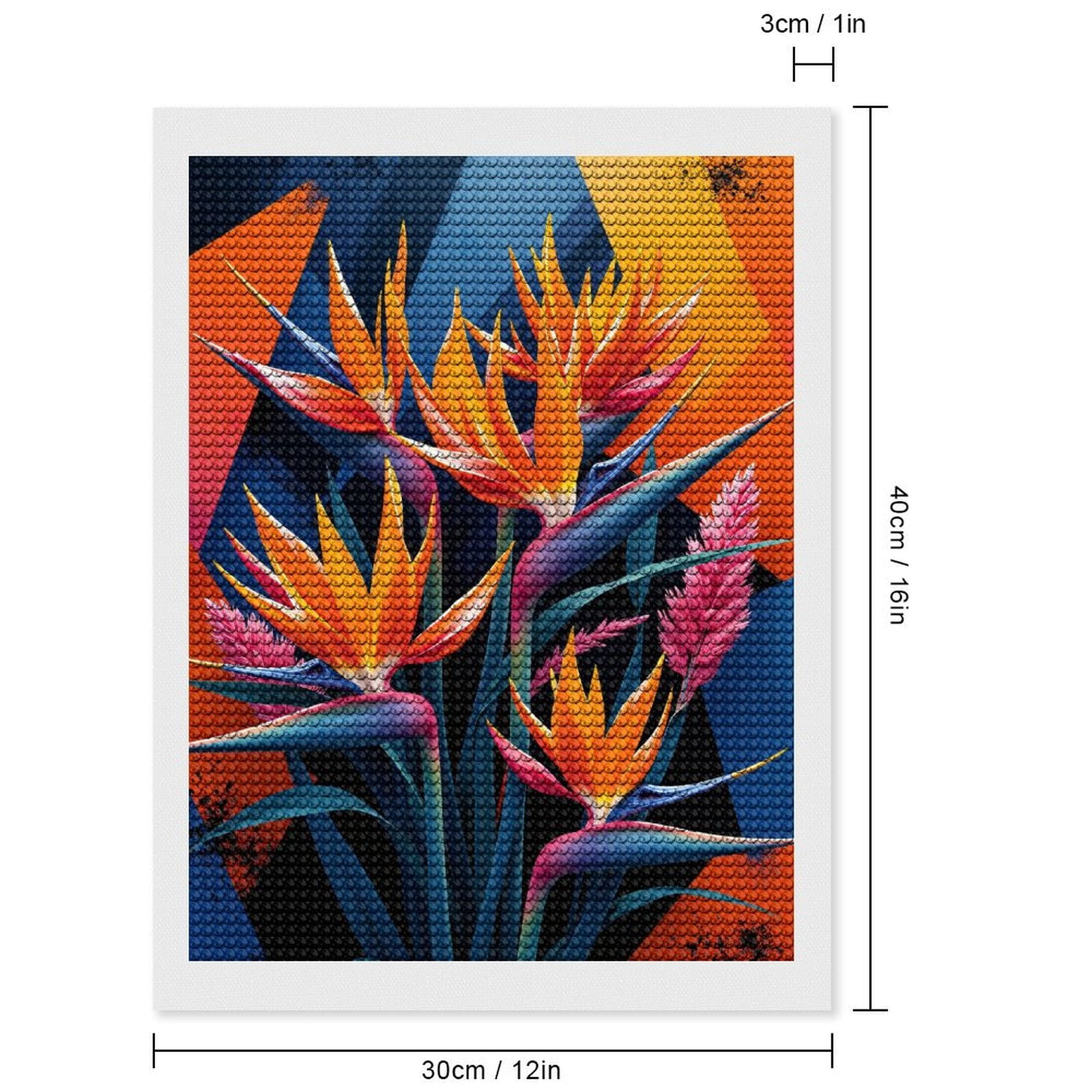 Diamond Art Kits for Adults, Birds Of Paradise Artistry 5D Diamond Painting Kits for Adults Beginners, DIY Full Drill Diamond Painting, Gem Art and Crafts 12x16