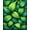 Green, Pattern 4, variant on ODIKA 4'x6' Machine Washable Non-Slip Area Rug, Jungle Bloom Green Floor Exotic Leaf Patterned High Traffic Rug, Green, 93219