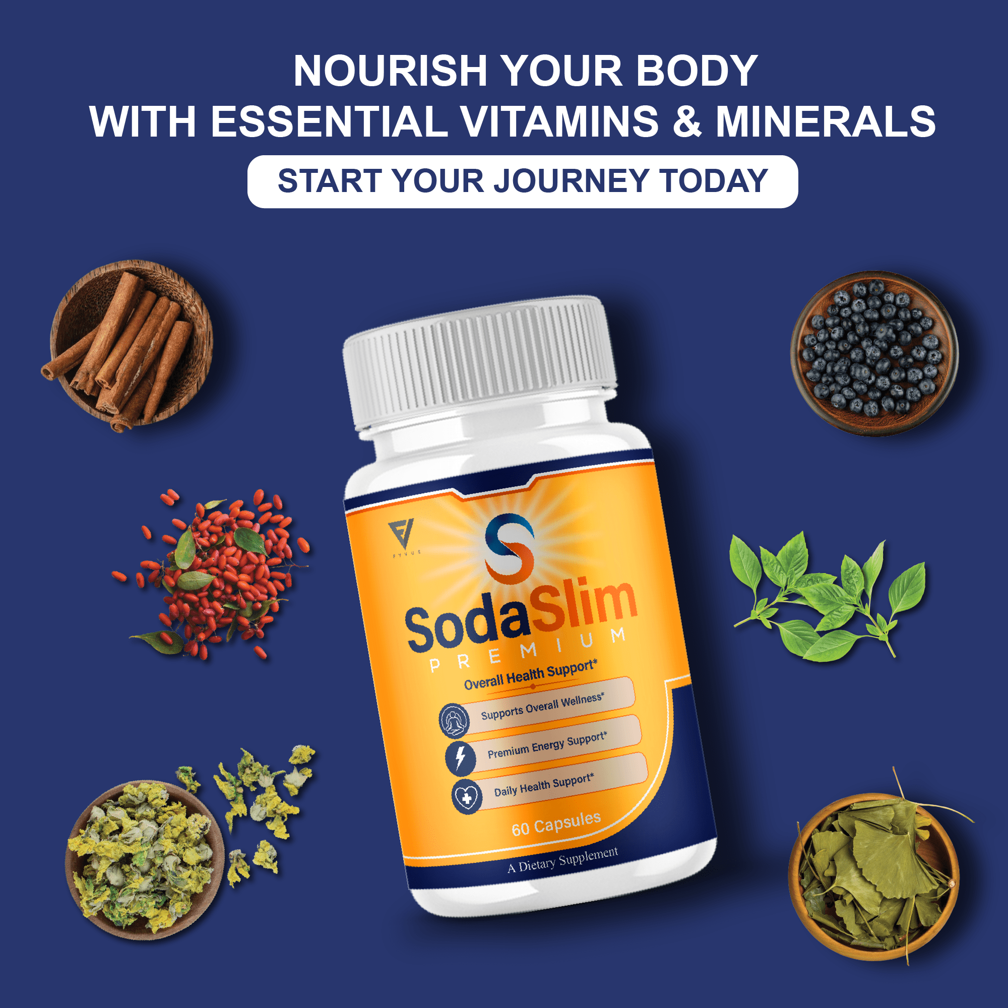 (5 Pack) Soda Slim Premium Supplement, SodaSlim Weight Support (300 Capsules)