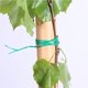 thumbnail image 4 of sweethay Accesorios de amarre retorcido para jardinería, Cables fijos universales para plantas, cables para atar plantas DIY, accesorio para cepillado de Jardín y Patio 100 metros sweethay TO005251-02, 4 of 6