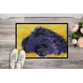 thumbnail image 2 of Carolines Treasures SS8839MAT Pomeranian Tapis Intérieur Extérieur - 18 x 27 Po., 2 of 4