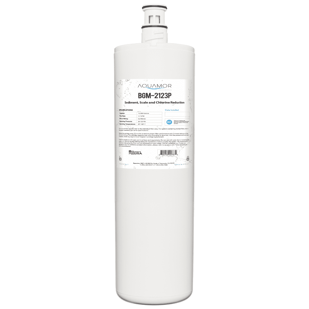 Aquamor BGM-2123P Water Filtration Replacement Cartridge for Commercial Ice Maker Hf20-s High Flow Series Reduces Sediment, Chlorine, Taste, Odor, Cysts, and Scale.
