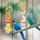 thumbnail image 5 of Cesta de comida para pájaros loros, comedero para pájaros en espiral, fruta colgante, 2 uds., 5 of 5