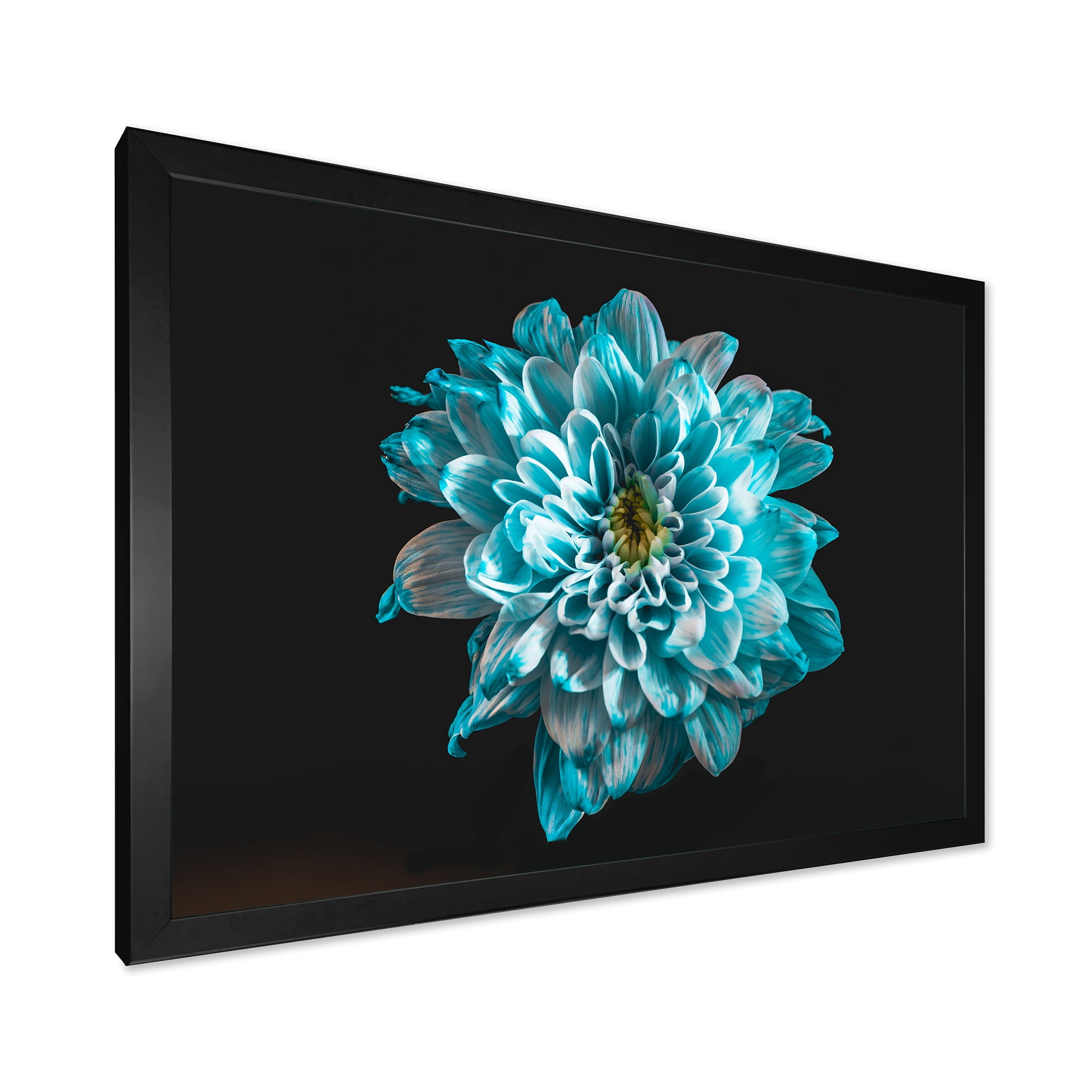 Designart 'Close Up Of Flower With White and Blue Petals' Traditional Framed Art Print