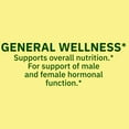 thumbnail image 5 of Spring Valley Maca Dietary Supplement Vegetarian Capsules for General Wellness, 500 mg, 90 Count, 5 of 10