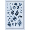 thumbnail image 2 of Sowerby, G.B. 23x32 White Modern Wood Framed Museum Art Print Titled - Shells: Sessile Cirripedes #2 (Blue), 2 of 4