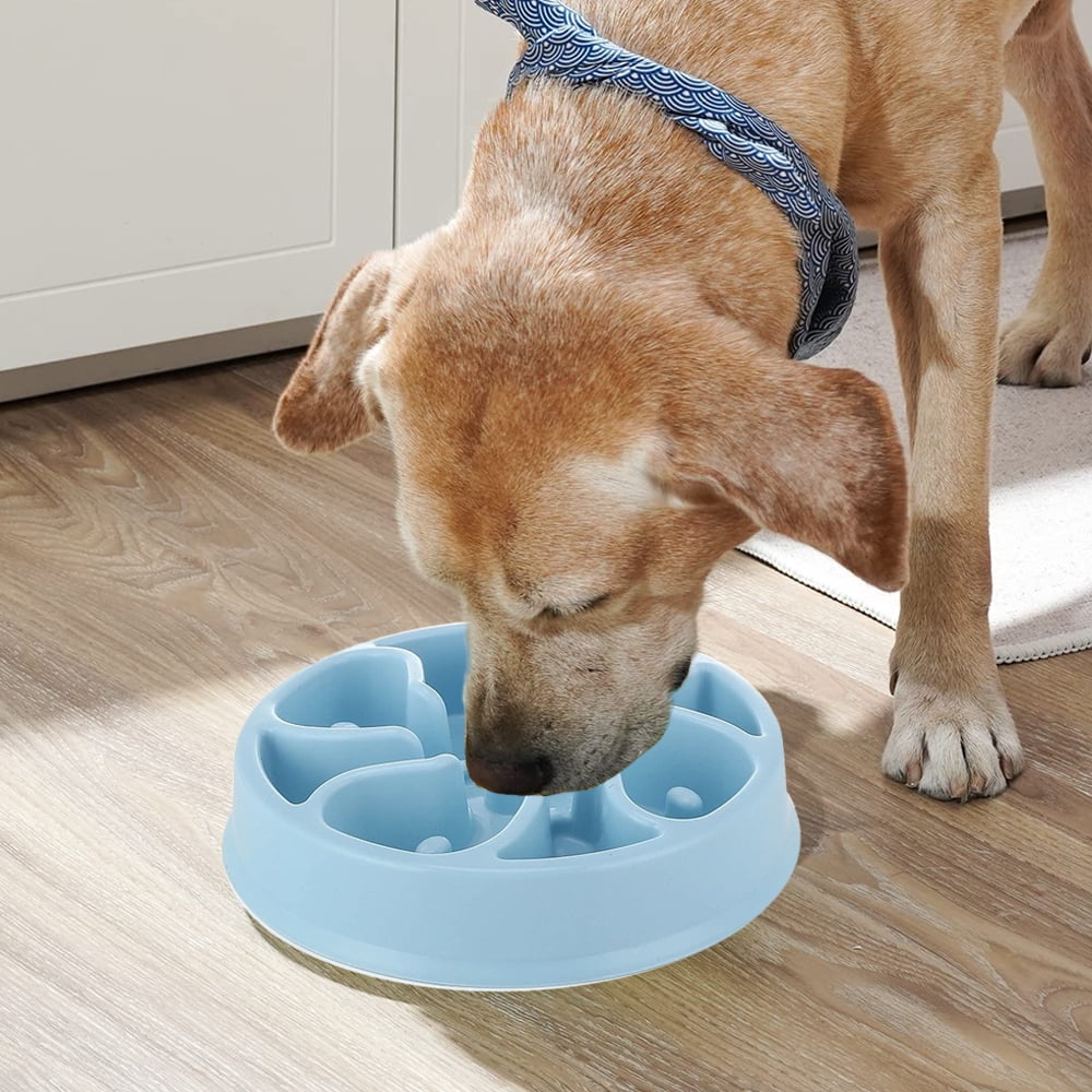 Slow Feeder Dog Bowl Pet Slow Down Feeding Dishes Maze Interactive Dog Puzzle Dog Feeder