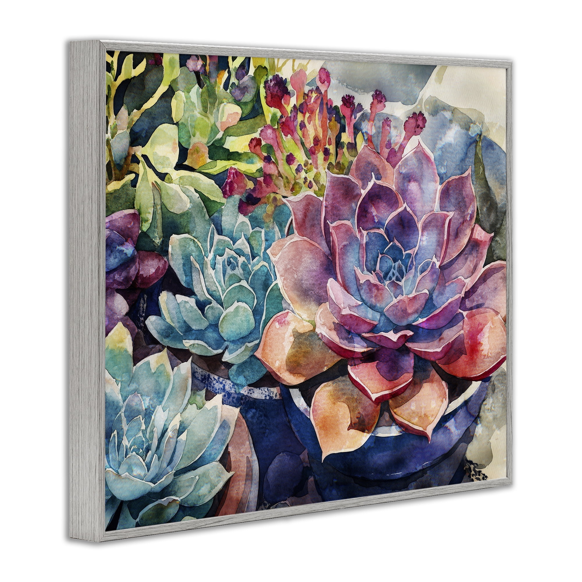 Stupell Industries Sun Kissed Succulents Gray Framed Giclee Art, design by Svetlana Aleynikova