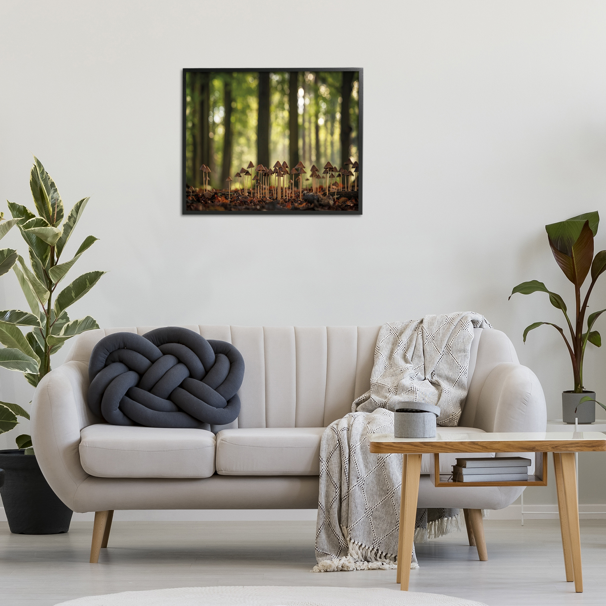 Stupell Industries Mushroom Sprouts in Forest Botanical & Floral Photography Black Framed Art Print Wall Art, 30 x 24