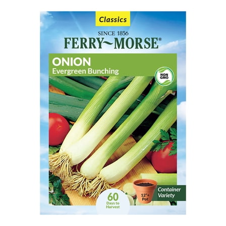 Ferry-Morse 730MG Onion Evergreen Bunching Annual Vegetable Seeds, Full Sun