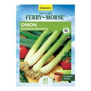 Ferry-Morse 540MG Onion Evergreen Bunching Vegetable Plant Seeds Full Sun