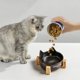 thumbnail image 3 of Juego de cuencos de cerámica para perros y gatos | Comederos y bebederos elevados con base de madera antideslizante | Cerámica de alta temperatura sin plomo | Diseño antiderrames para razas pequeña, 3 of 3