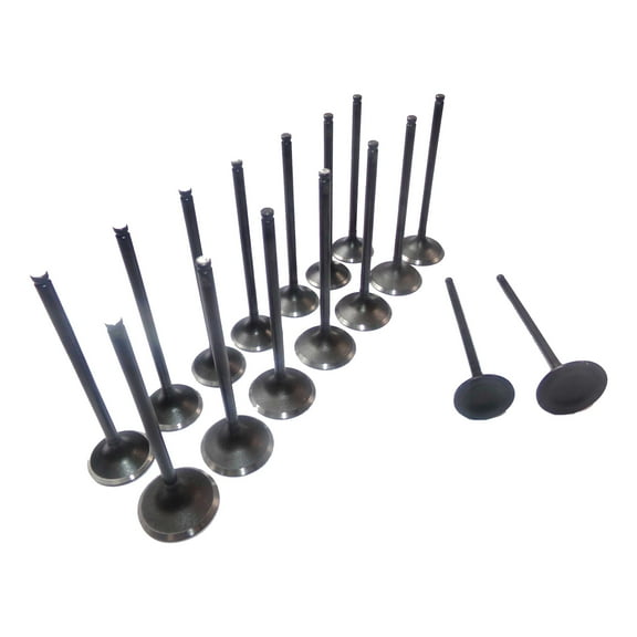 DNJ VK16216 Exhaust Intake Valve Kit Fits Cars & Trucks 02-12 Acura 2.0L DOHC 16V EV216 X8 IV216 X8