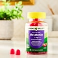 thumbnail image 4 of Spring Valley Melatonin Dietary Supplement Gummies, Strawberry, 5 mg, 60 Count, 4 of 10
