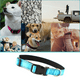 thumbnail image 4 of Procesamiento de collar de perro Collar de servicio pesado Forro de nylon balístico Collar de perro reflectante Acero inoxidable ajustable Adepaton Correas y Collares para Perros, 4 of 5