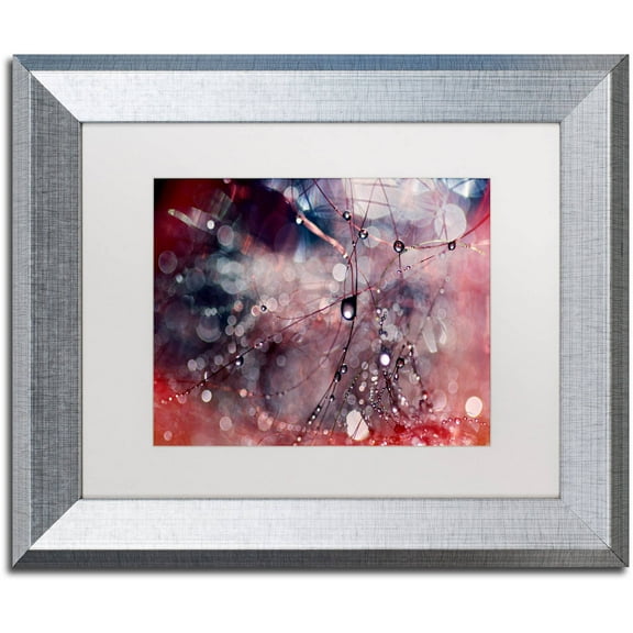 Trademark Fine Art "Outside the Box" Canvas Art by Beata Czyzowska Young, White Matte, Silver Frame