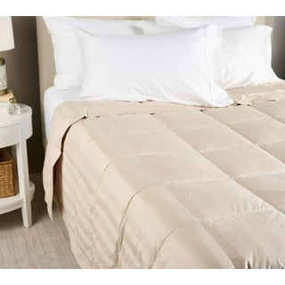 Northern nights feather pillows 2025