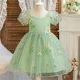 thumbnail image 2 of Yanlir Robe Princesse en Dentelle d'Été pour Filles Robe Sans Manches à Volants Broderie en Maille Robe de Fête Col Rond, Tenue Imprimée Mode Printemps Été pour Enfants (Vert, 1 An), 2 of 9